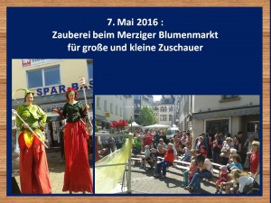 Zauberer-Merzig-Blumenmarkt